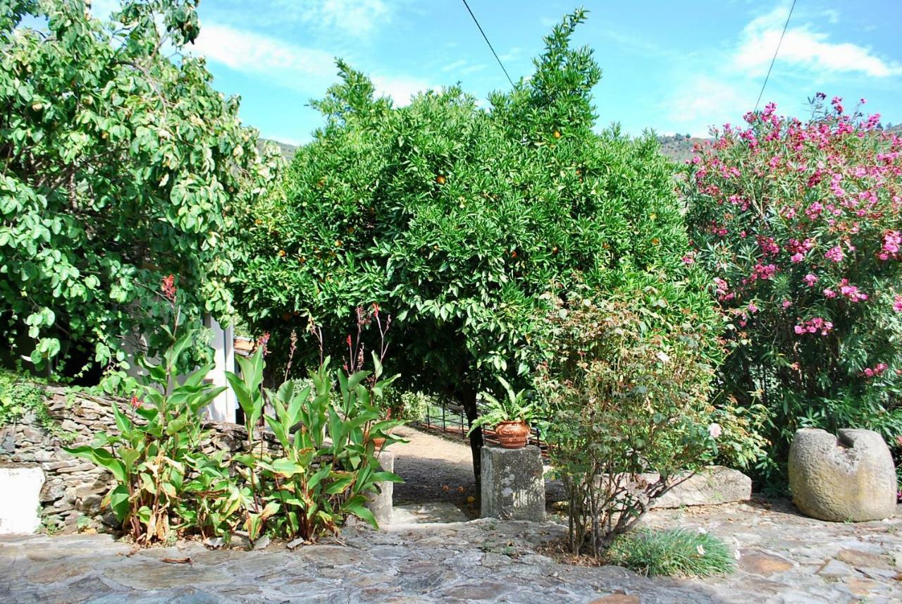 Вилла Casa De Mendiz Vale de Mendiz Экстерьер фото